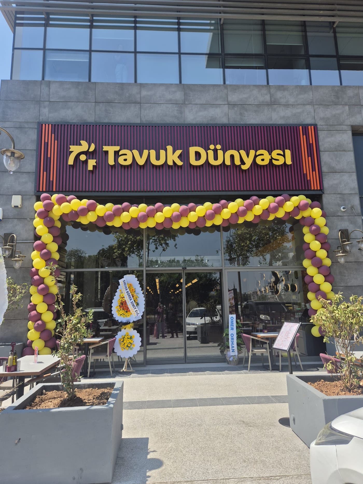 Tavuk Dünyası
