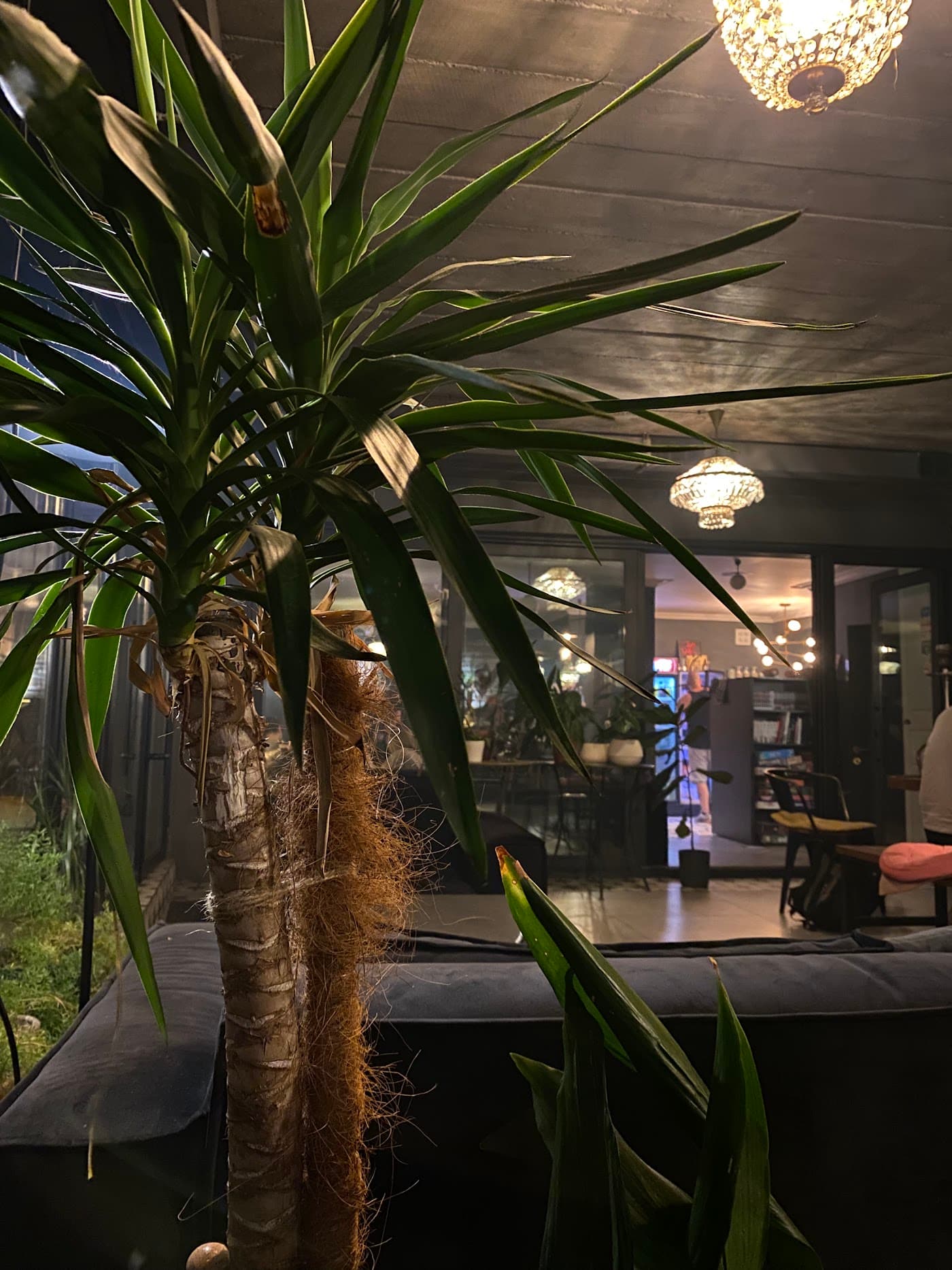 Zichy Lounge