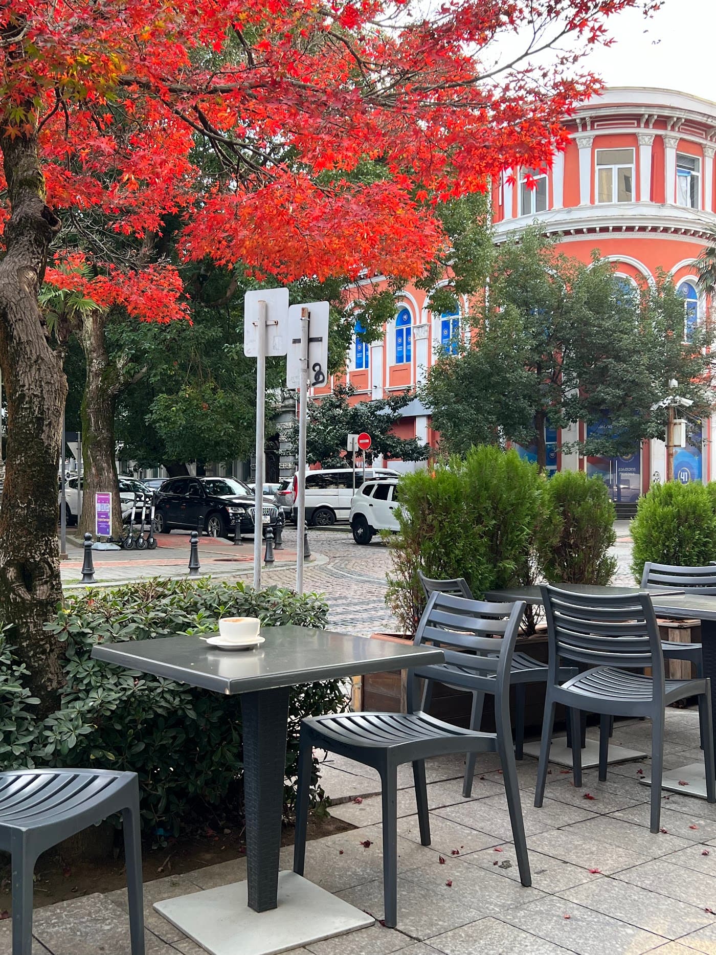 Bistro Oriental