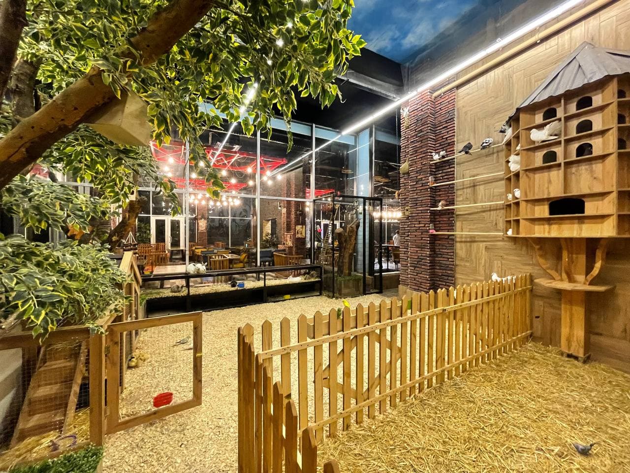 Kolorit Cafe & Dining