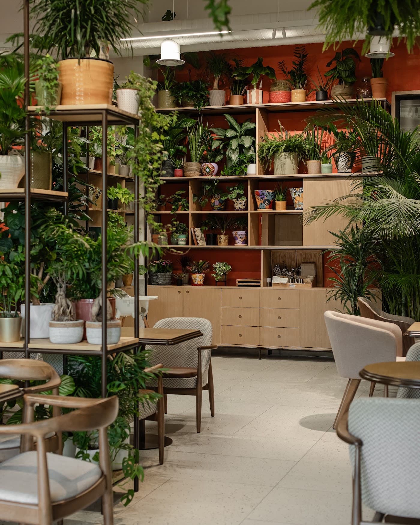 Cafe Botanist