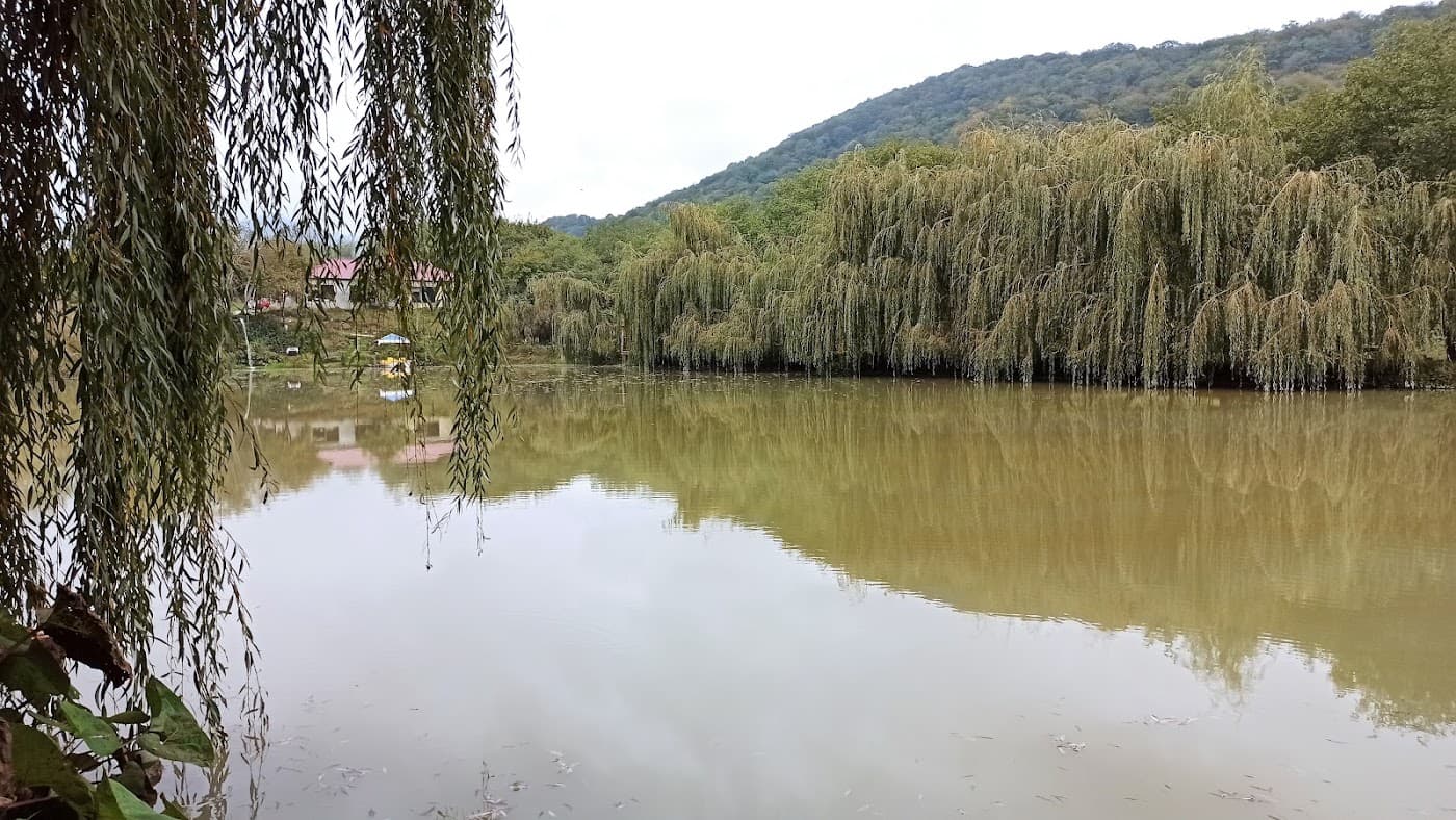 Susay Göl Ailəvi İstirahət Mərkəzi - Piknik