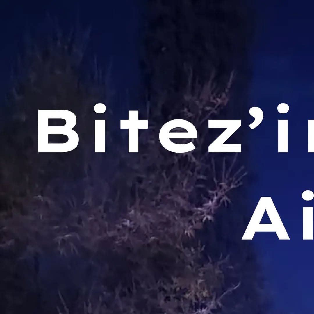 Asya Apart Hotel Bitez