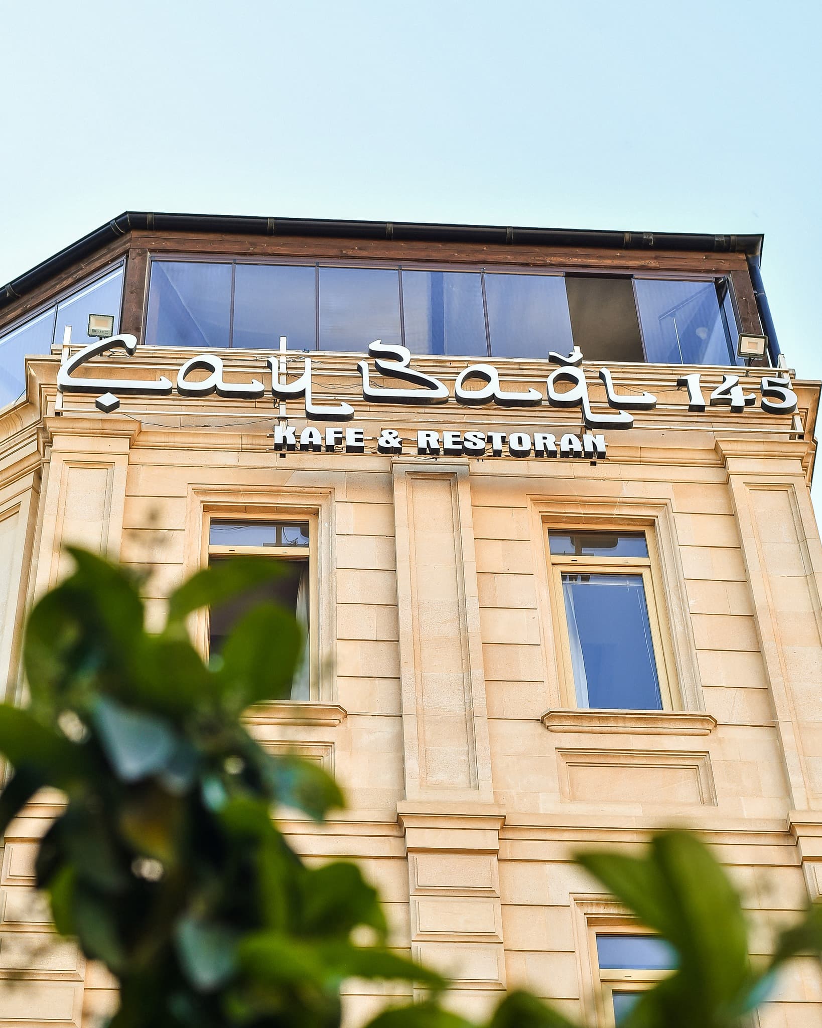 Çay Bağı 145